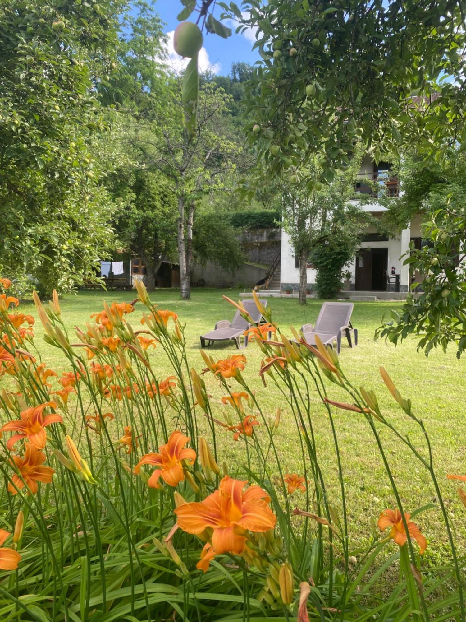 Konjic Lakeside Resort エクステリア 写真